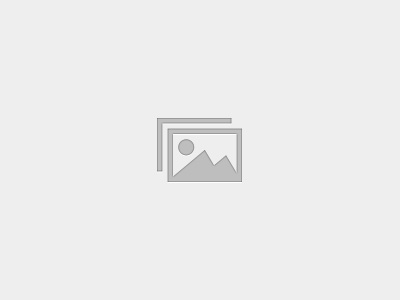 Certified Agile Leader (CAL)